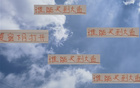 大魚浮頭，夏窗中超購人潮，申花南多，前海港奇塔。