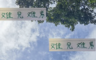 難兄難弟，京安韓佳奇與滬港王振澳共赴德康復(fù)。