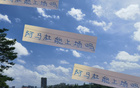 阿馬杜、朱辰杰能否上場？申花戰(zhàn)深圳，期待比賽！