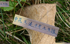申花帥哥特謝拉、蔣圣龍未隨隊(duì)赴深圳。