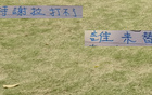 申花特謝拉傷缺，國(guó)家隊(duì)無(wú)礙，反家傷兩人。