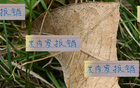 米內(nèi)羅出局，申花急招外援，夏窗換血定局！