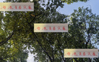 海港青春風暴，李新翔領(lǐng)銜，大連賽進球助攻顯身手！