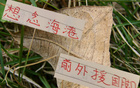 中超三豪門，海港缺國腳外援，奧斯卡球迷懷念。