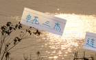 申花三杰連發(fā)，俄帥壓力倍增！