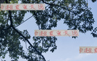 夏窗收官，四隊顯高級風范。
