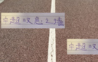 中超前五，成都蓉城最硬，申花緊隨其后。