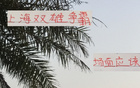 滬申花海港爭(zhēng)霸，雙雄對(duì)攻精彩，馬寧助陣。