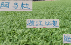 一腳油門到底，申花司機安排阿馬杜首發(fā)？浙江