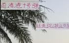 中超兩年最強(qiáng)外援，去年海港巴爾加斯與今年米特誰更給力？