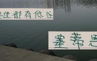 誰低谷亦能逆襲！浙江后北京國安主帥塞蒂恩奪冠勢如破竹！