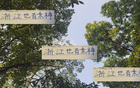 鼓舞士氣！米特里策獲最佳球員，浙江迎戰(zhàn)申花