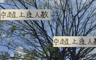 中超上座率之首竟為解散隊(duì)，申花主場(chǎng)達(dá)六萬(wàn)！