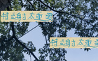 吳曦、楊皓宇無法替代特謝拉10號位，浙江比賽失利。