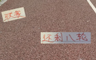 聯賽末戰(zhàn)，海港維塔爾、申花特謝拉，誰將奪冠？