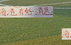 海港奪冠獲喜訊，成都主場遭批，云南后衛(wèi)停賽。