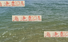 誰料海港穩(wěn)勢被天津隊拉下第三名，第22輪中超前四。