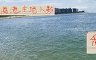 周末海港主場兩萬多人，申花引領(lǐng)下青島主場更勝一籌。