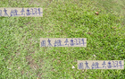 周末中超焦點(diǎn)：成都海港、山東國(guó)安，前四誰(shuí)將失利？