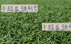 天津判官?gòu)?qiáng)勢(shì)，海港、成都、北京國(guó)安皆失分，末輪挑戰(zhàn)申花。