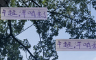 周末雙賽，成都海港激戰(zhàn)，山東國(guó)安對(duì)決，洋哨穩(wěn)操勝券！