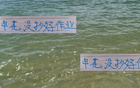 申花作業(yè)未佳，海港外援無憂。