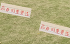 海港爭冠必修課，穆帥需知薩之重要！