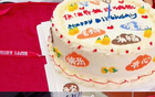 廣東男籃慶生，焦泊喬生日驚喜，趙睿周鵬蛋糕大戰(zhàn)