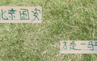 北京國安七輪平穩(wěn)，能否再創(chuàng)雙冠傳奇？
