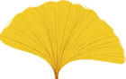 湘超揭幕戰(zhàn)火熱開啟，岳陽首戰(zhàn)已定，購票指南發(fā)布！