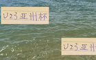 U23亞洲杯：國青首發(fā)陣容，海港2人，申花1人，成都1人。