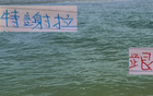 9月申花賽程，成都蓉城對決最關(guān)鍵，輸球奪冠難。