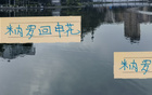 馬萊萊替身米內(nèi)羅歸申花，亞冠盼望，聯(lián)賽難寄望。