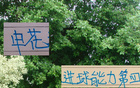 申花進(jìn)球能力強(qiáng)，外援未進(jìn)射手榜前10，內(nèi)援主導(dǎo)。