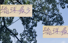 23輪后，北京國(guó)安輸3場(chǎng)，申花多敗一場(chǎng)。