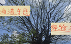 10年，海港奪冠中超！前四隊(duì)獨(dú)領(lǐng)風(fēng)騷。