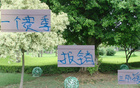 申花外援頻遭傷病，費利佩、馬來萊、萊昂傷勢頻發(fā)。