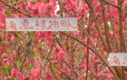 海港9月抽調(diào)多，前四靠外援。與鄰不同，實(shí)力強(qiáng)。
