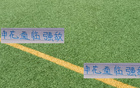 申花對(duì)決強(qiáng)敵宿敵，挑戰(zhàn)成都蓉城之上的戰(zhàn)斗！