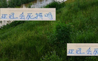 成都亞冠無目標(biāo)，申花壓力來襲，沖刺階段決勝負(fù)。