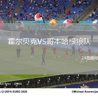 霍爾貝克VS哥本哈根狼隊