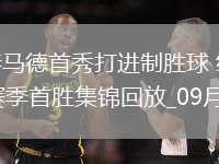 英超-沃爾特馬德首秀打進(jìn)制勝球紐卡斯?fàn)柭?lián)1-0狼隊(duì)取賽季首勝