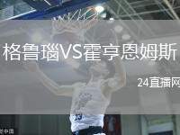 格魯瑙VS霍亨恩姆斯