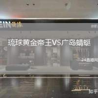 琉球黃金帝王VS廣島蜻蜓