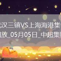 中超第11輪武漢三鎮(zhèn)vs上海海港進(jìn)球視頻