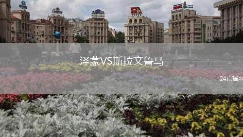 澤蒙VS斯拉文魯馬