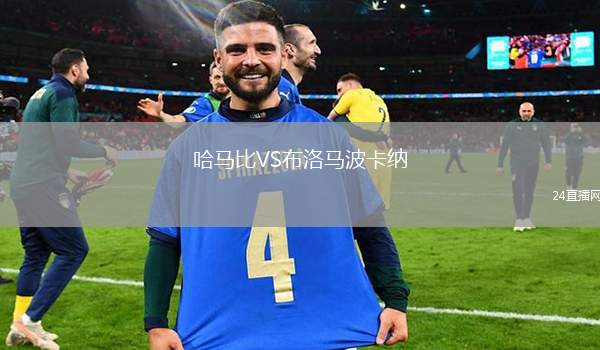 哈馬比VS布洛馬波卡納