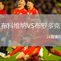 布科維納VS布羅多克