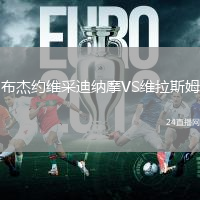 布杰約維采迪納摩VS維拉斯姆