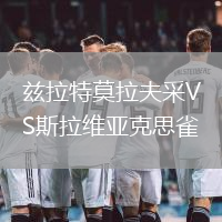 茲拉特莫拉夫采VS斯拉維亞克思雀